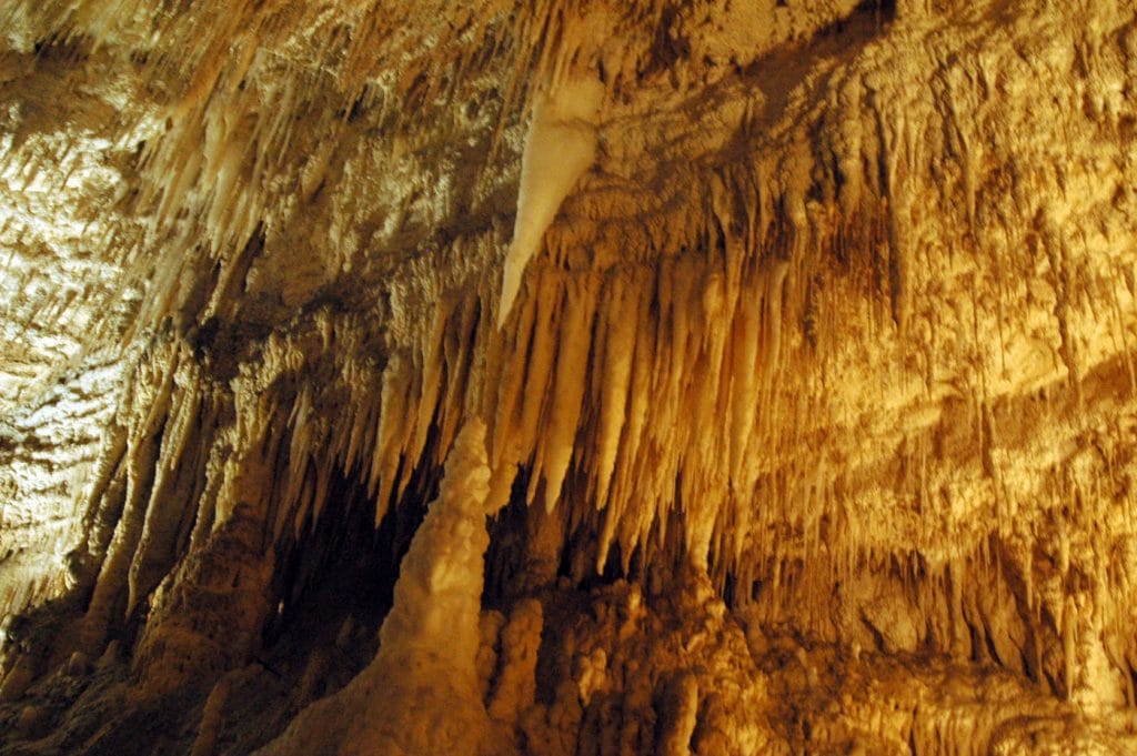New Zealand Waitomo Caves