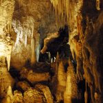 New Zealand Waitomo Caves